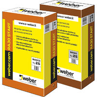 WEBER CEM RA30 START BIANCO KG.25 (BC 60)