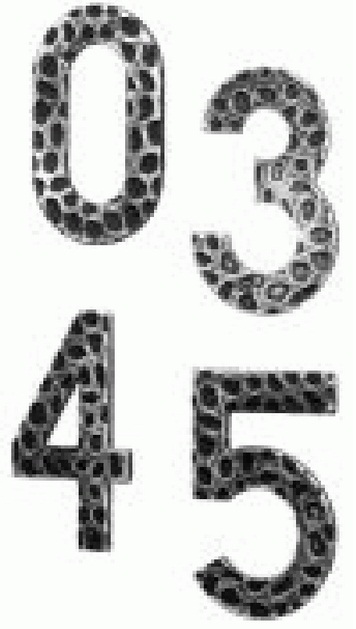 171/9 NUMERO 9 H.120